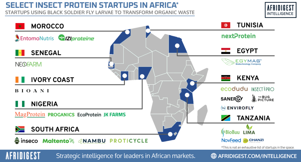 Sector map of black soldier fly insect protein startups in Africa via Afridigest Intelligence