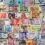 africancurrenciesstock